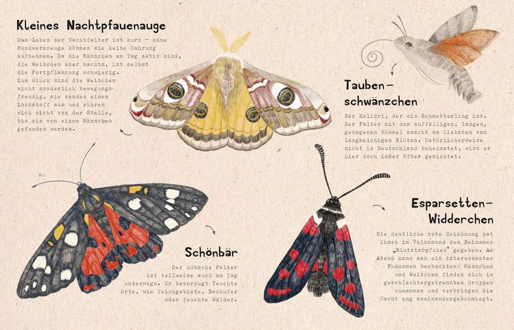 Produktbild: natur-verliebt