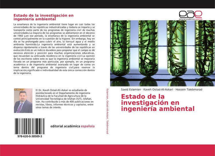 Produktbild: Estado de la investigaci&oacute;n en ingenier&iacute;a ambiental