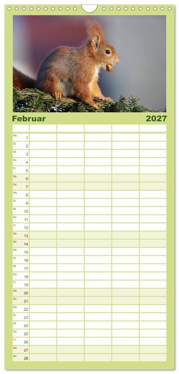 Produktbild: Familienplaner 2027 - Eichh&ouml;rnchen Momentaufnahmen f&uuml;rs Herz mit 5 Spalten (Wandkalender, 21 x 45 cm) CALVENDO