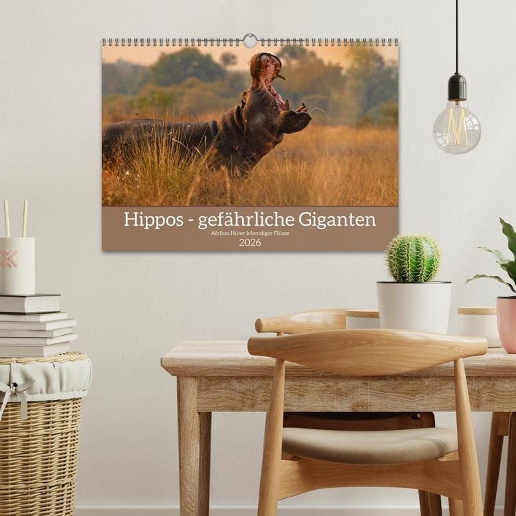 Produktbild: Hippos - Gef&auml;hrliche Giganten (Wandkalender 2026 DIN A3 quer), CALVENDO Monatskalender