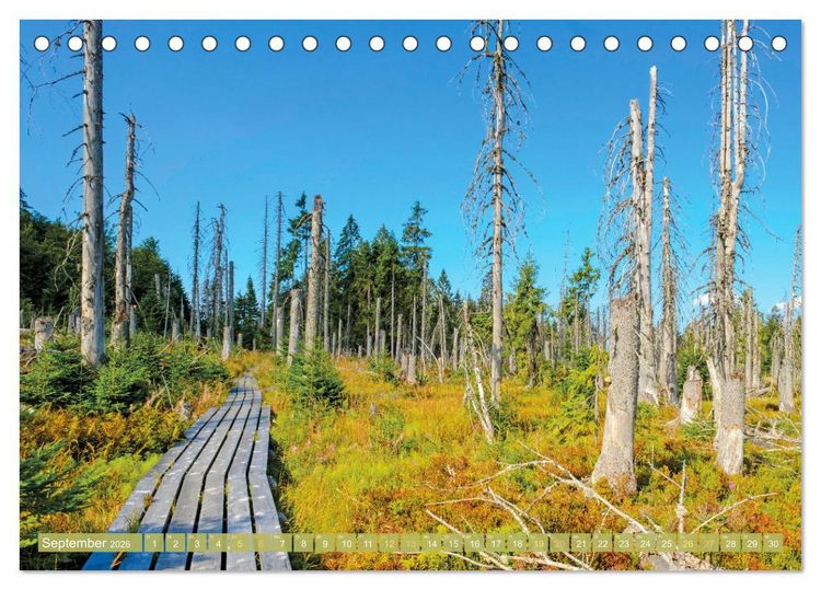 Produktbild: Arber, Rachel und Lusen: Der Hintere Bayerische Wald (Tischkalender 2026 DIN A5 quer), CALVENDO Monatskalender