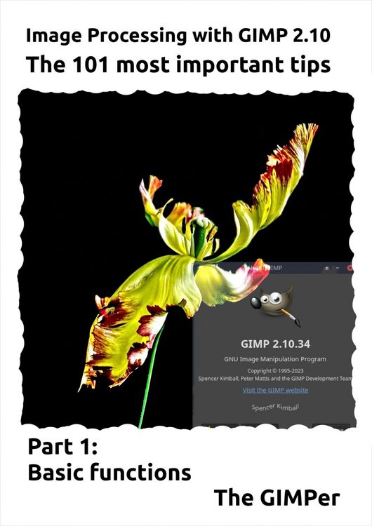 Produktbild: Image Processing with GIMP 2.10