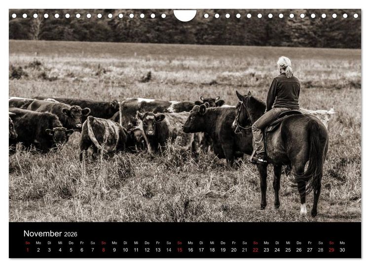 Produktbild: Westernreiten (Wandkalender 2026 DIN A4 quer), CALVENDO Monatskalender