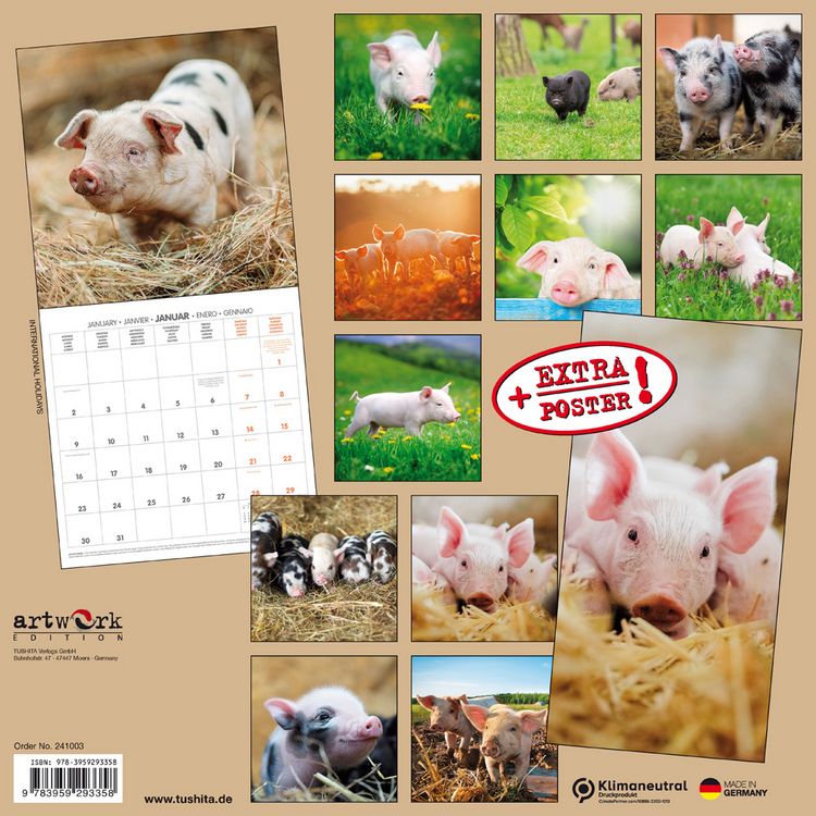 Produktbild: Piggies/Schweinchen 2024