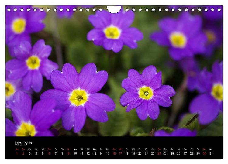 Produktbild: Blumige Farben (Wandkalender 2027 DIN A4 quer), CALVENDO Monatskalender