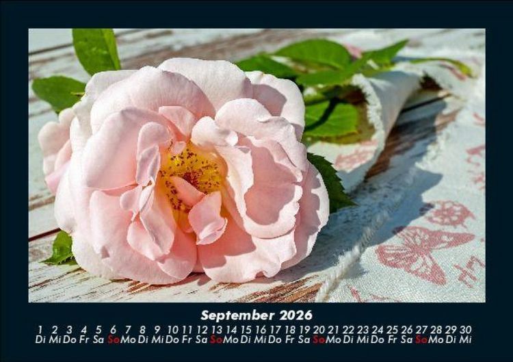 Produktbild: Blumentraum 2026 Fotokalender DIN A5