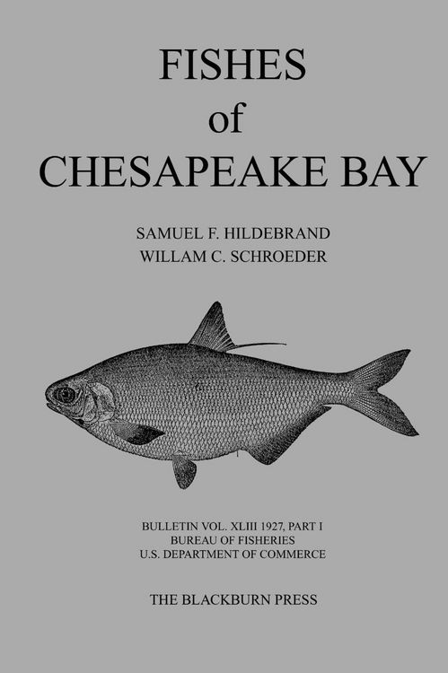 Produktbild: Fishes of Chesapeake Bay