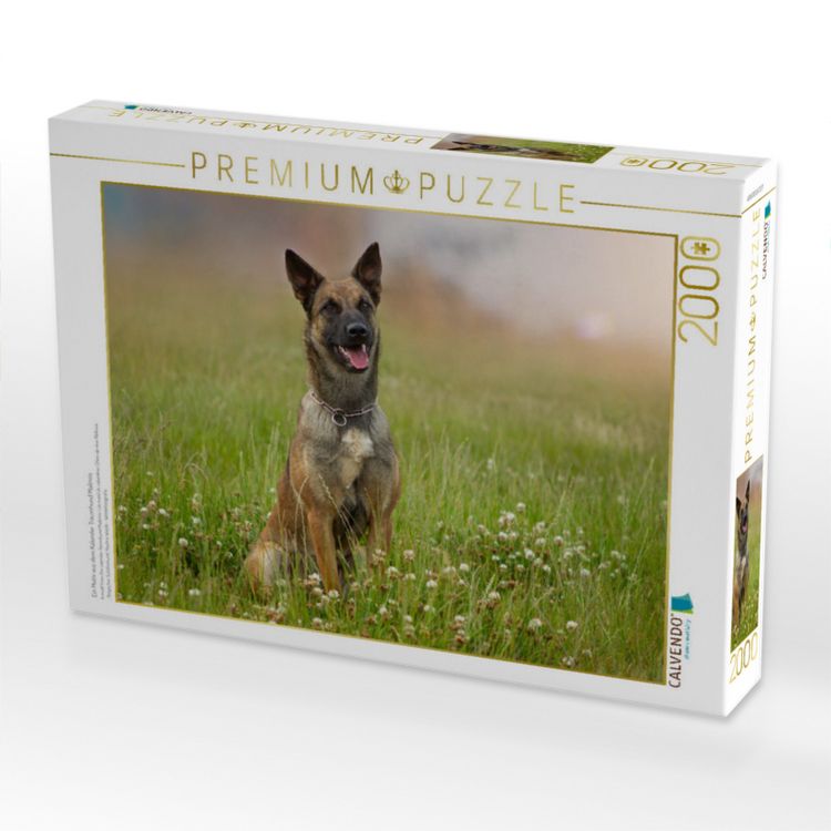 Produktbild: CALVENDO Puzzle Ein Motiv aus dem Kalender Traumhund Malinois | 2000 Teile Lege-Gr&ouml;&szlig;e 90x67cm Foto-Puzzle f&uuml;r gl&uuml;ckliche Stunden