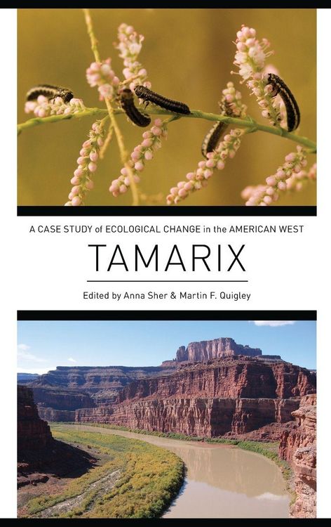 Produktbild: Tamarix