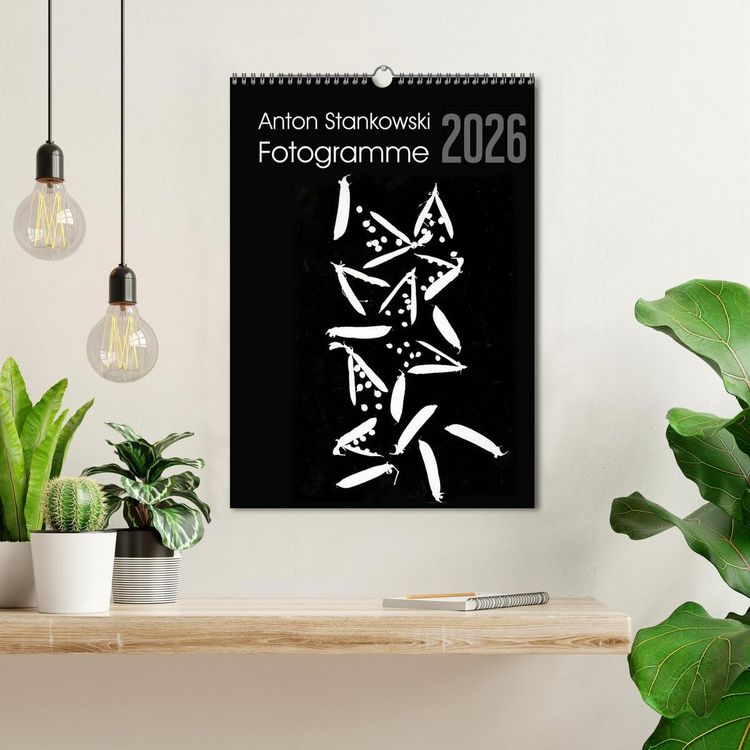 Produktbild: Anton Stankowski Fotogramme (Wandkalender 2026 DIN A3 hoch), CALVENDO Monatskalender