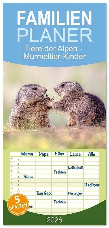 Produktbild: Familienplaner 2026 - Tiere der Alpen - Murmeltier-Kinder mit 5 Spalten (Wandkalender, 21 x 45 cm) CALVENDO