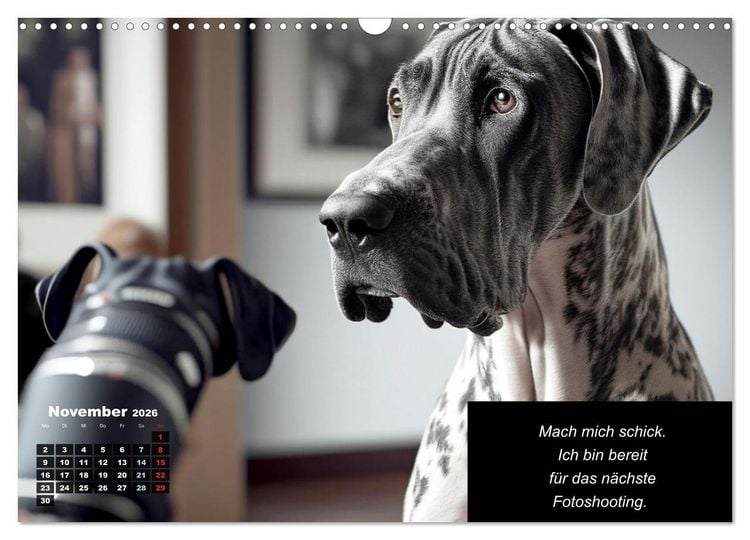 Produktbild: Der humoristische Dogge Kalender (Wandkalender 2026 DIN A3 quer), CALVENDO Monatskalender