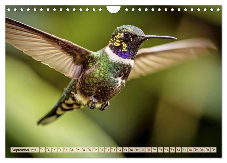 Produktbild: Die kleinsten Tiere - Weltweit (Wandkalender 2027 DIN A4 quer), CALVENDO Monatskalender