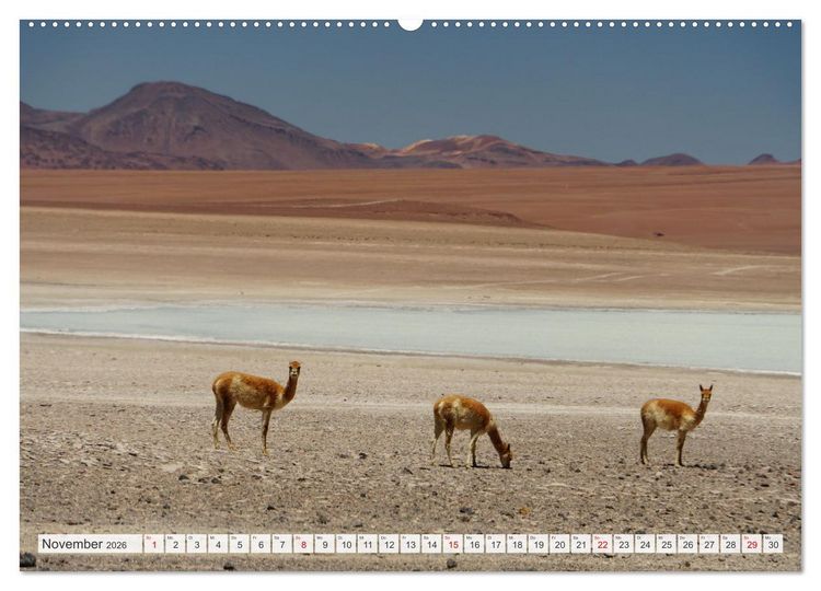 Produktbild: Bolivien - Unterwegs im Hochland (Wandkalender 2026 DIN A2 quer), CALVENDO Monatskalender