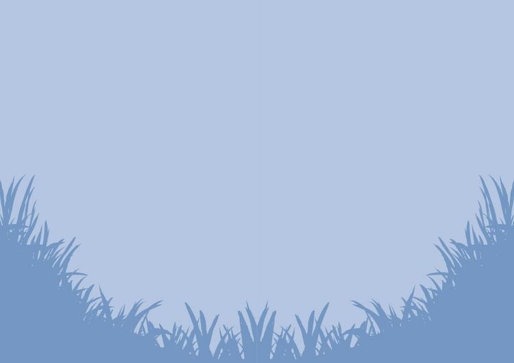 Produktbild: Der Ruf des Nordwinds