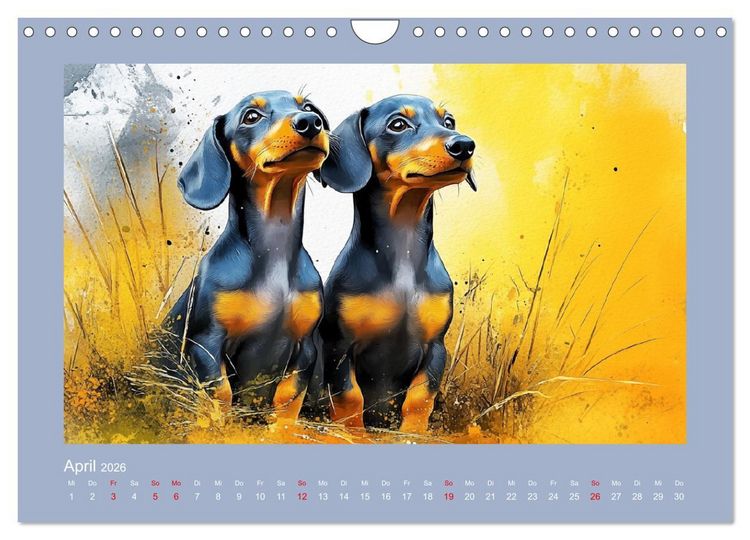 Produktbild: Dackelzauber. Charmante Begleiter im lieblichen Aquarell-Stil (Wandkalender 2026 DIN A4 quer), CALVENDO Monatskalender