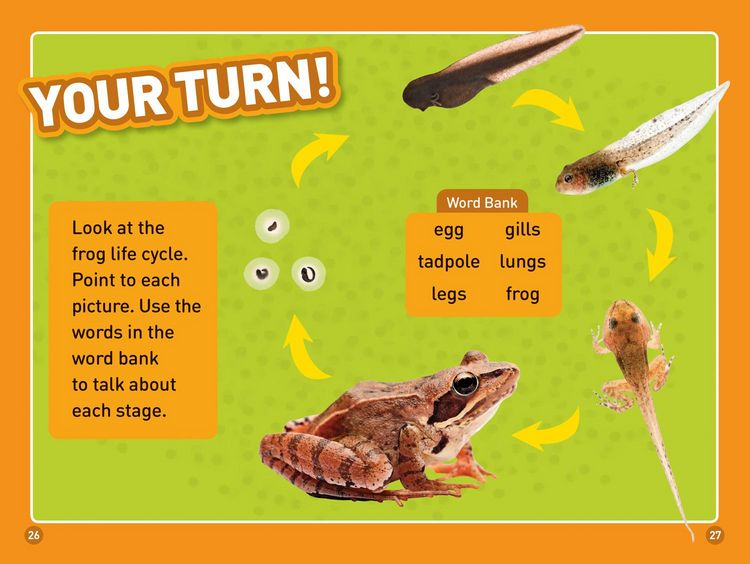 Produktbild: Tadpole to Frog (National Geographic Kids Readers, Level 1/Co-Reader)