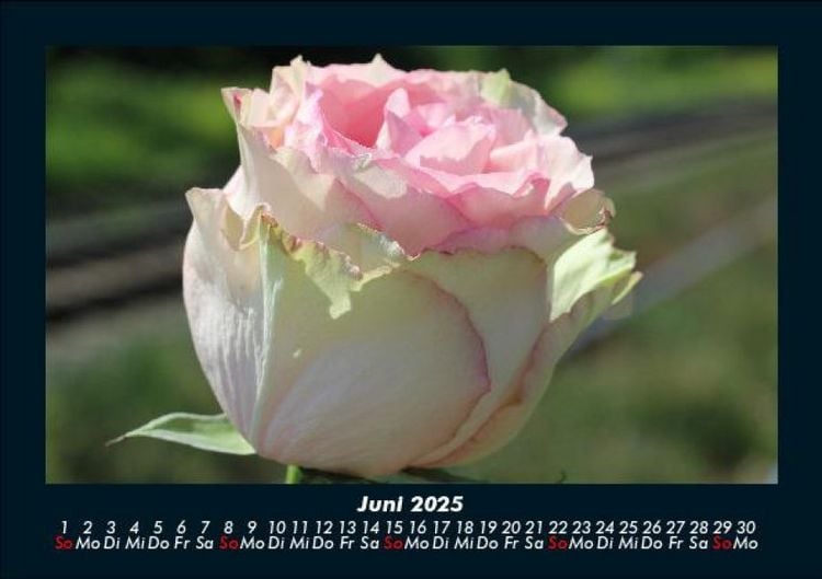 Produktbild: Blumenzauber 2025 Fotokalender DIN A5