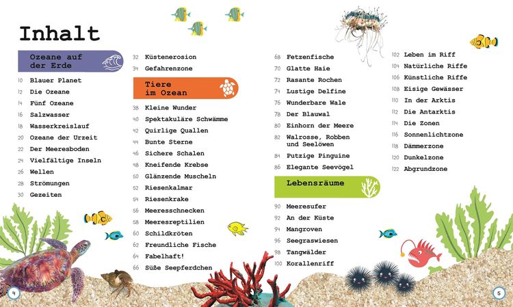 Wissen für Vorschulkids. Was weißt du über Ozeane?