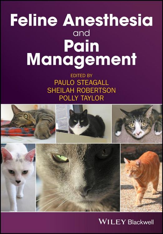 Produktbild: Feline Anesthesia and Pain Management