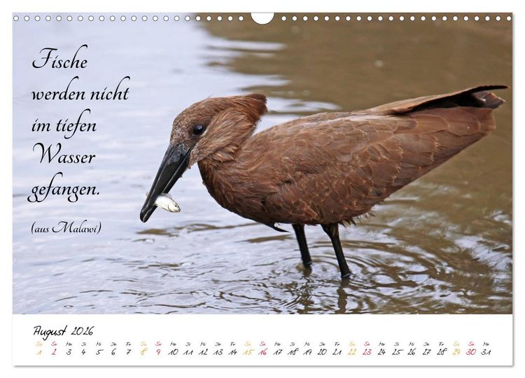 Produktbild: AFRIKA - Kontinent der Poesie (Wandkalender 2026 DIN A3 quer), CALVENDO Monatskalender