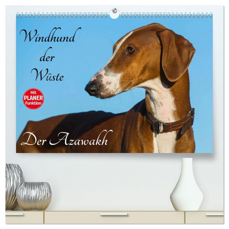 Produktbild: Windhund der W&uuml;ste - Der Azawakh (hochwertiger Premium Wandkalender 2026 DIN A2 quer), Kunstdruck in Hochglanz