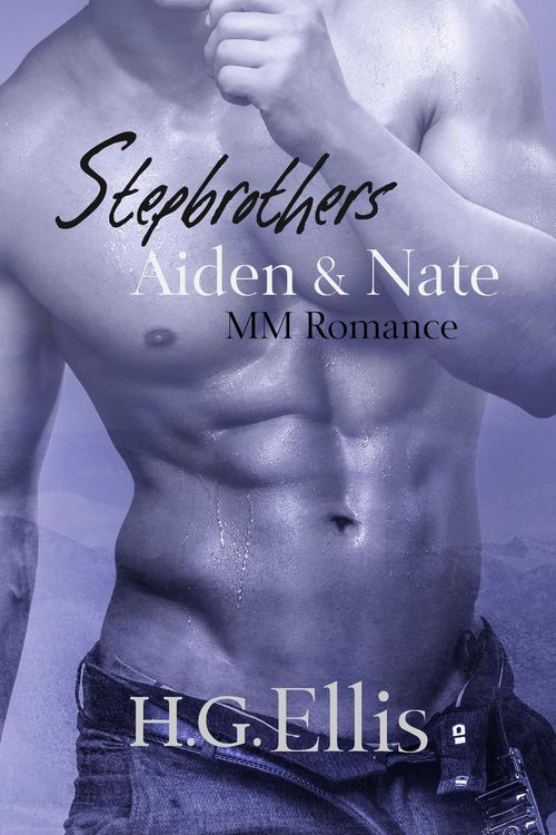 Produktbild: Stepbrothers: Aiden & Nate (MM Romance)