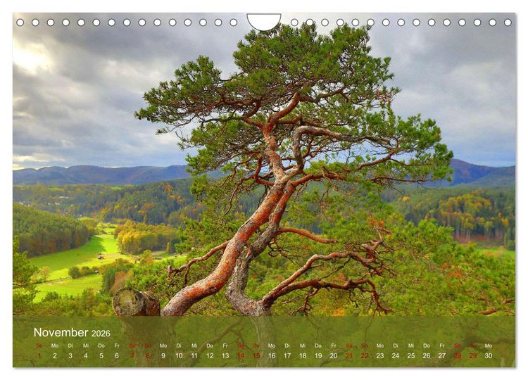 Produktbild: Wanderparadies S&uuml;dpfalz (Wandkalender 2026 DIN A4 quer), CALVENDO Monatskalender