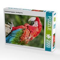 Produktbild: CALVENDO Puzzle Farbenfrohe Papageien: Gr&uuml;nfl&uuml;gel-Ara. | 2000 Teile Lege-Gr&ouml;&szlig;e 90x67cm Foto-Puzzle f&uuml;r gl&uuml;ckliche Stunden