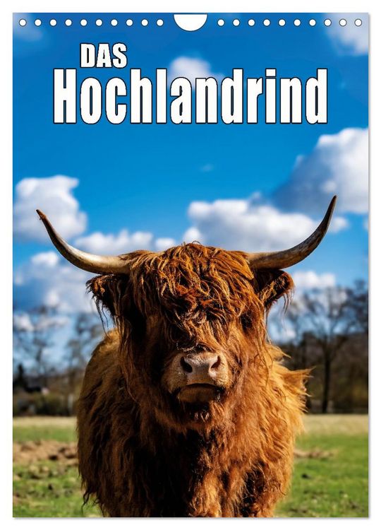 Produktbild: Das Hochlandrind im Fr&uuml;hjahr (Wandkalender 2026 DIN A4 hoch), CALVENDO Monatskalender