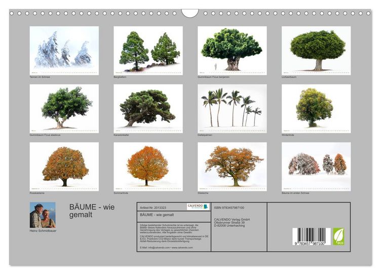 Produktbild: B&Auml;UME - wie gemalt (Wandkalender 2026 DIN A3 quer), CALVENDO Monatskalender