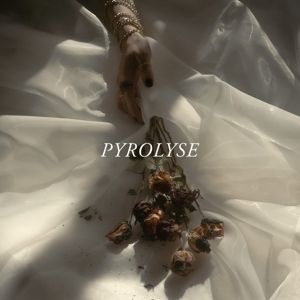 Produktbild: Pyrolyse