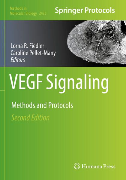Produktbild: VEGF Signaling
