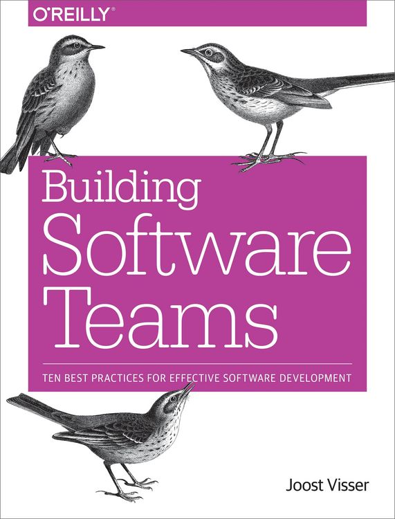 Produktbild: Building Software Teams