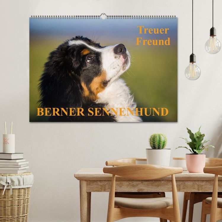 Produktbild: Treuer Freund Berner Sennenhund (Wandkalender 2026 DIN A2 quer), CALVENDO Monatskalender