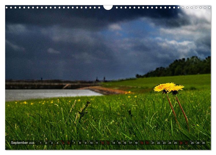 Produktbild: Bis zum Horizont. Der Himmel &uuml;ber Norddeutschland. (Wandkalender 2026 DIN A3 quer), CALVENDO Monatskalender