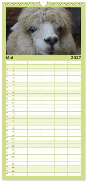 Produktbild: Familienplaner 2027 - Alpakas und Lamas mit 5 Spalten (Wandkalender, 21 x 45 cm) CALVENDO