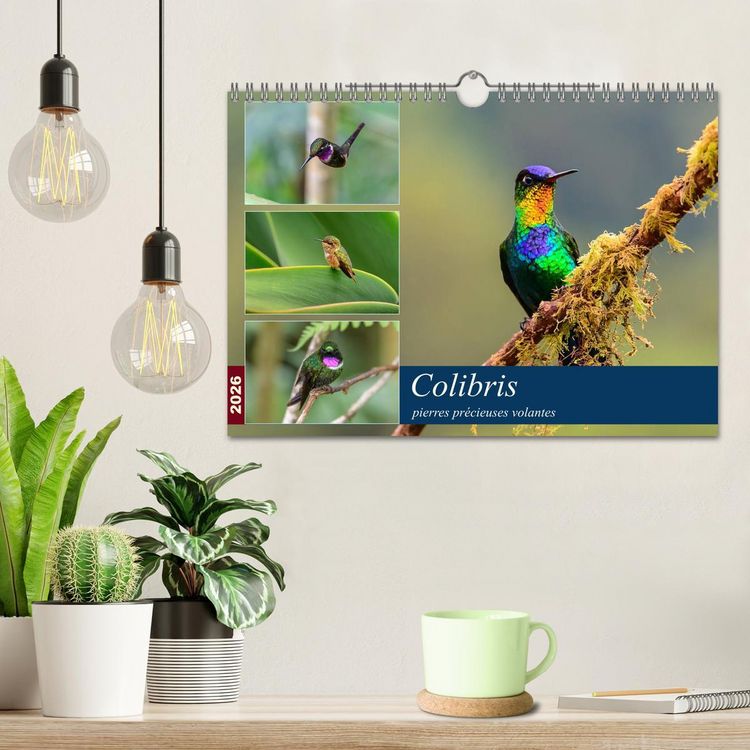 Produktbild: Colibris - pierres pr&eacute;cieuses volantes (Calendrier mural 2026 DIN A4 vertical), CALVENDO calendrier mensuel