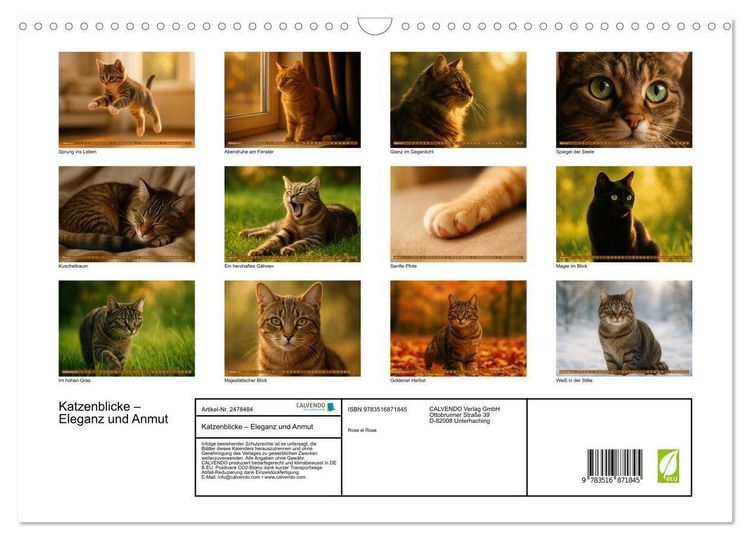 Produktbild: Katzenblicke &ndash; Eleganz und Anmut (Wandkalender 2027 DIN A3 quer), CALVENDO Monatskalender