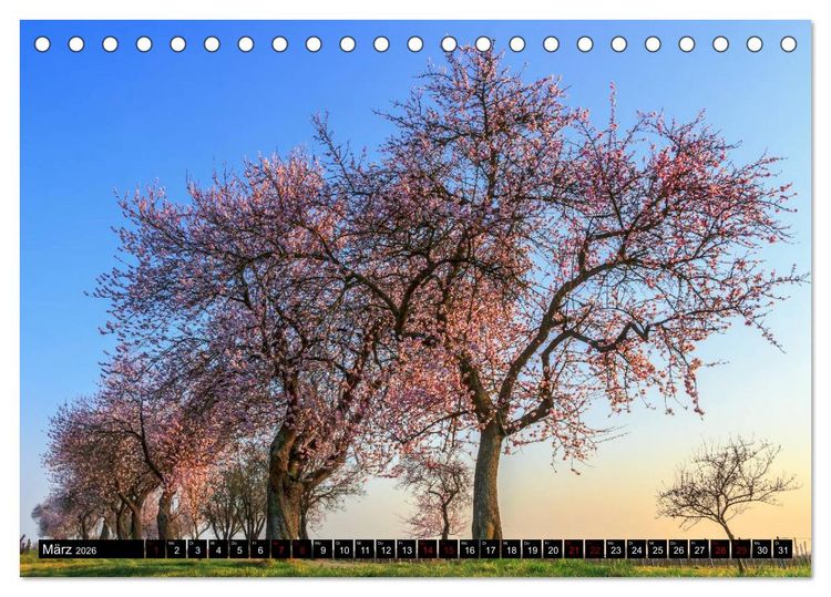 Produktbild: Augenschmaus Pfalz (Tischkalender 2026 DIN A5 quer), CALVENDO Monatskalender