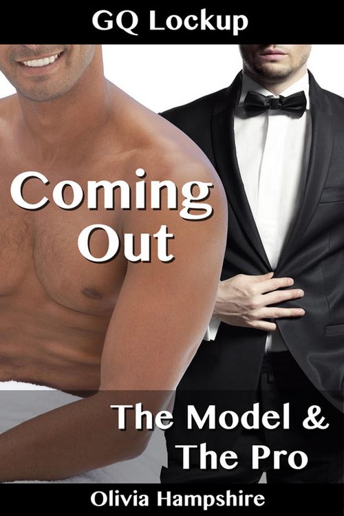 Produktbild: The Model and the Pro