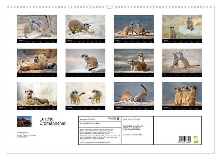 Produktbild: Lustige Erdm&auml;nnchen (Wandkalender 2026 DIN A2 quer), CALVENDO Monatskalender