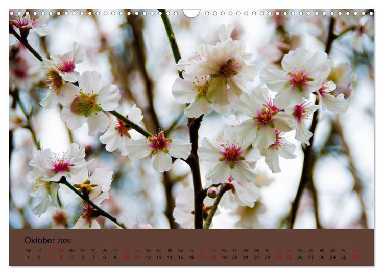Produktbild: Kurpark Baden-Baden (Wandkalender 2026 DIN A3 quer), CALVENDO Monatskalender