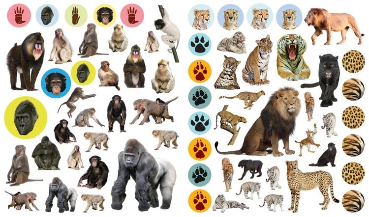 Produktbild: Eyelike Stickers: Wild Animals