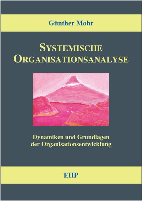 Produktbild: Systemische Organisationsanalyse