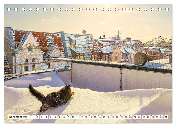 Produktbild: M&uuml;nster Miezen - &uuml;ber den D&auml;chern (Tischkalender 2026 DIN A5 quer), CALVENDO Monatskalender