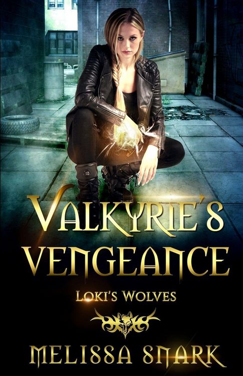 Produktbild: Valkyrie's Vengeance