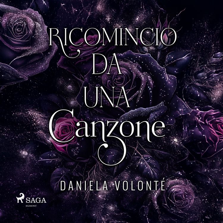Produktbild: Ricomincio da una canzone