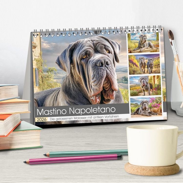 Produktbild: Mastino Napoletano. Die gelassenen Molosser mit antiken Vorfahren (Tischkalender 2026 DIN A5 quer), CALVENDO Monatskalender