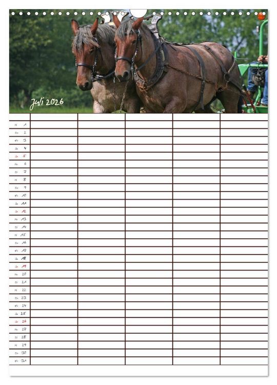 Produktbild: Der Kaltblut-Familienplaner (Wandkalender 2026 DIN A3 hoch), CALVENDO Monatskalender
